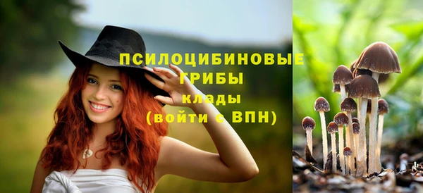 apvp Баксан
