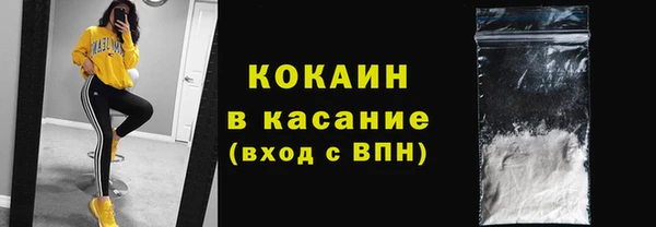 шишки Белокуриха