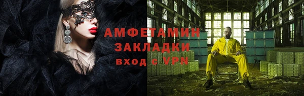 шишки Белокуриха
