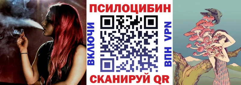 Псилоцибиновые грибы мицелий  KRAKEN ТОР  Вязьма 