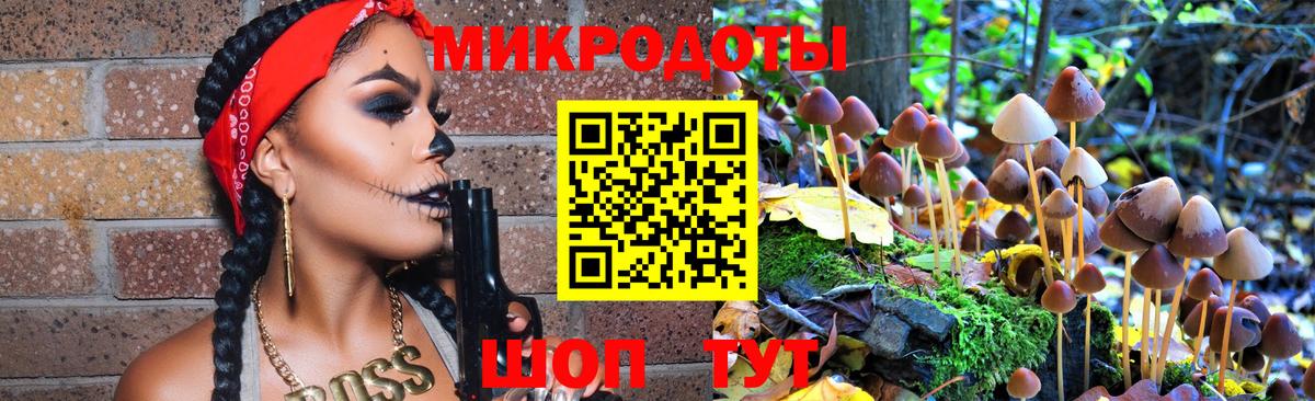 где продают   Вход с VPN  Вязьма  Галлюциногенные грибы прущие грибы 