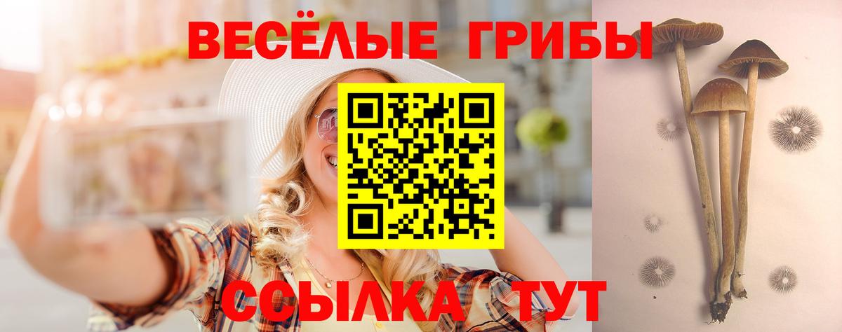 Галлюциногенные грибы GOLDEN TEACHER Вязьма